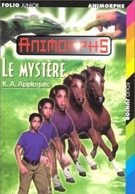 LE MYSTERE